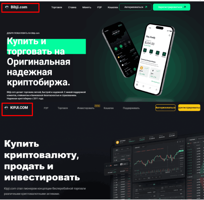 Клоны мошенников Bibji.com (bibji.com) 