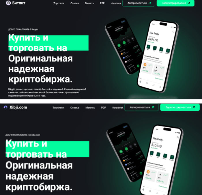 клоны мошенников Bitpyth (bitpyth.com)