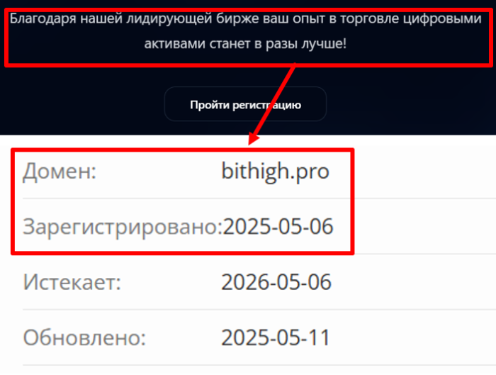 Bithigh.pro возраст 