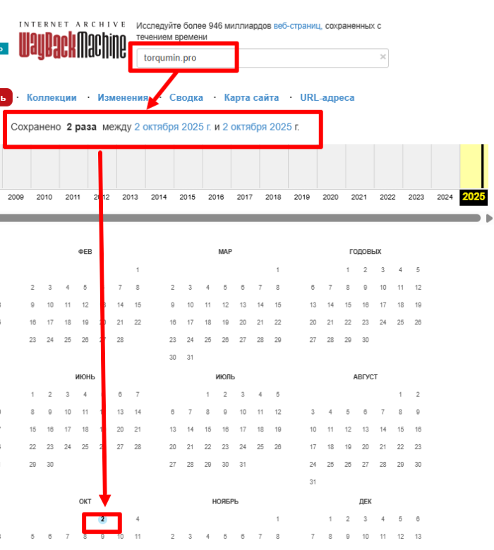 Торкумин Интернет -архив