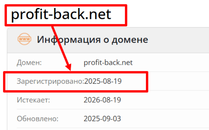 Возврат прибыли от мошеннического брокера (workspace.profit-back.net) Обзоры и кэшбэк! 7 Прибыль Вернуться к возрасту