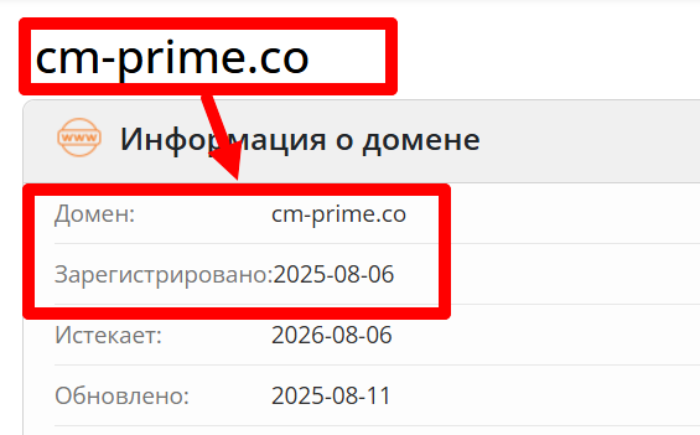 Возраст FNTGroup (fnt-group.io). 