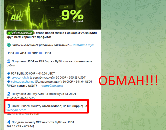 WXB-Cyber ​​Обзоры