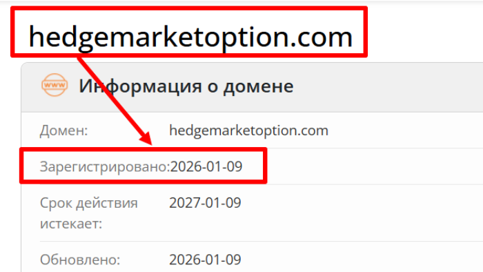 Возраст домена hedgemarketoption.com и отзывы