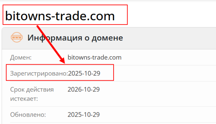 Торговый возраст BiTowns 