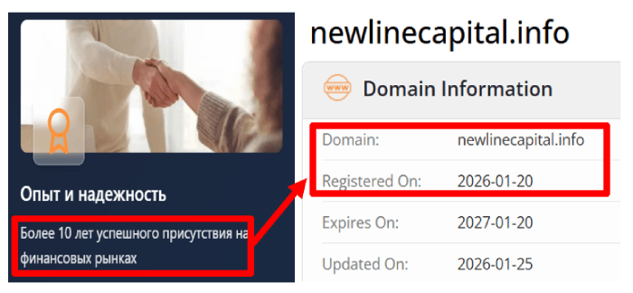 Реальный возраст домена newlinecapital.info