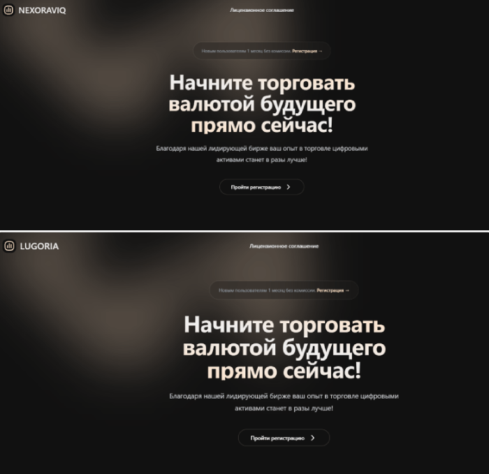 Отзывы о Нексоравике